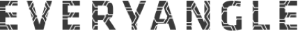 everyangle logo