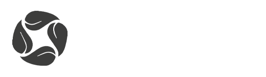 kiana partner logo